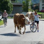 Onverwachts bezoek onderweg